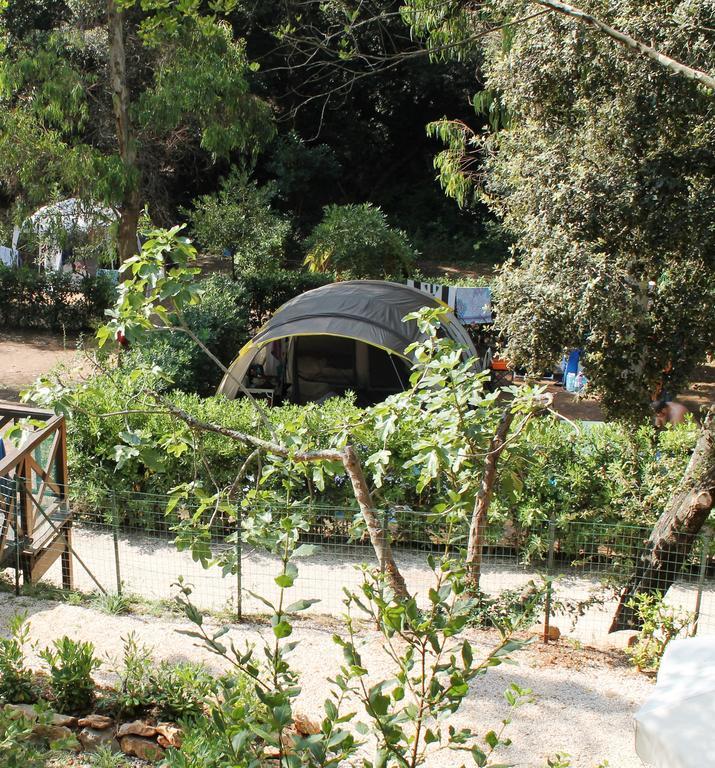 Elbadoc Camping Village Cavo Eksteriør bilde