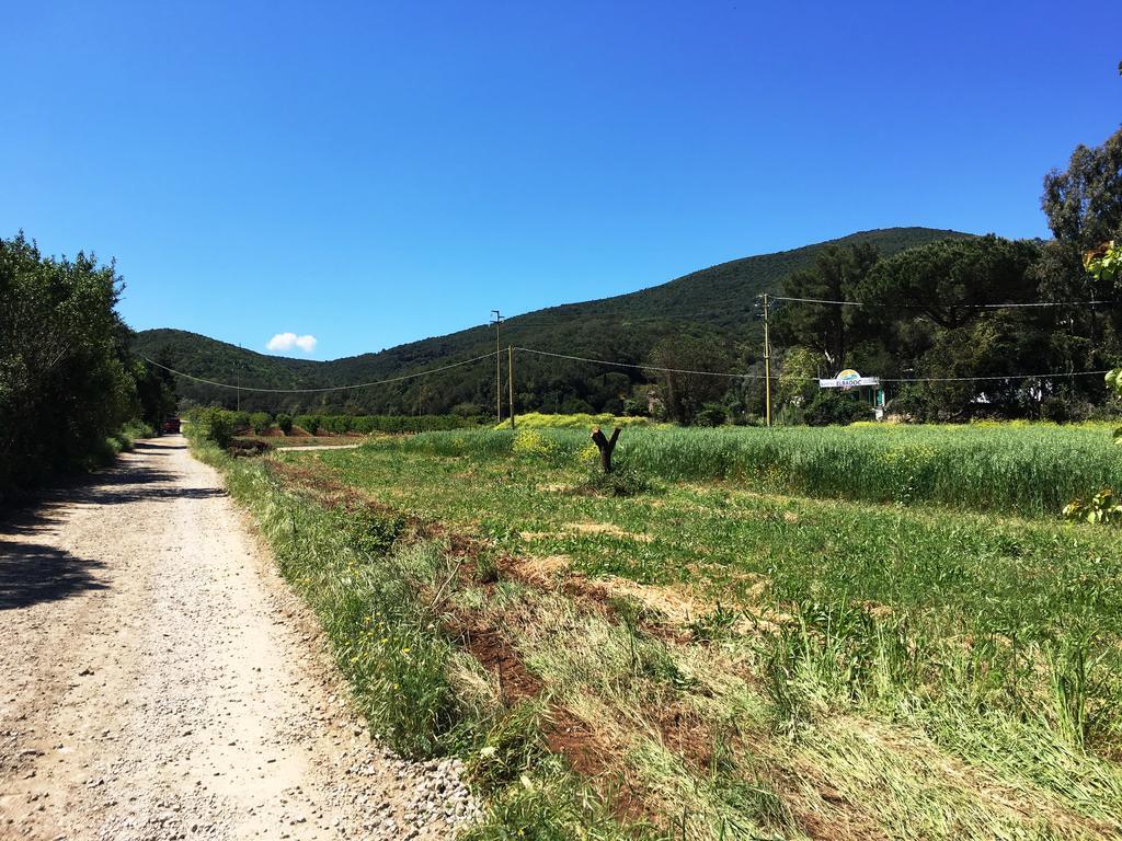 Elbadoc Camping Village Cavo Eksteriør bilde